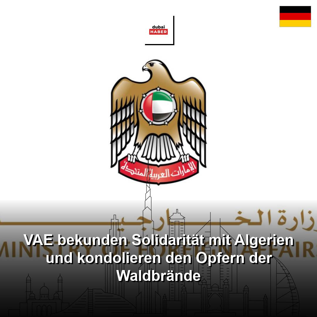 VAE bekunden Solidarität mit Algerien und kondolieren den Opfern der Waldbrände