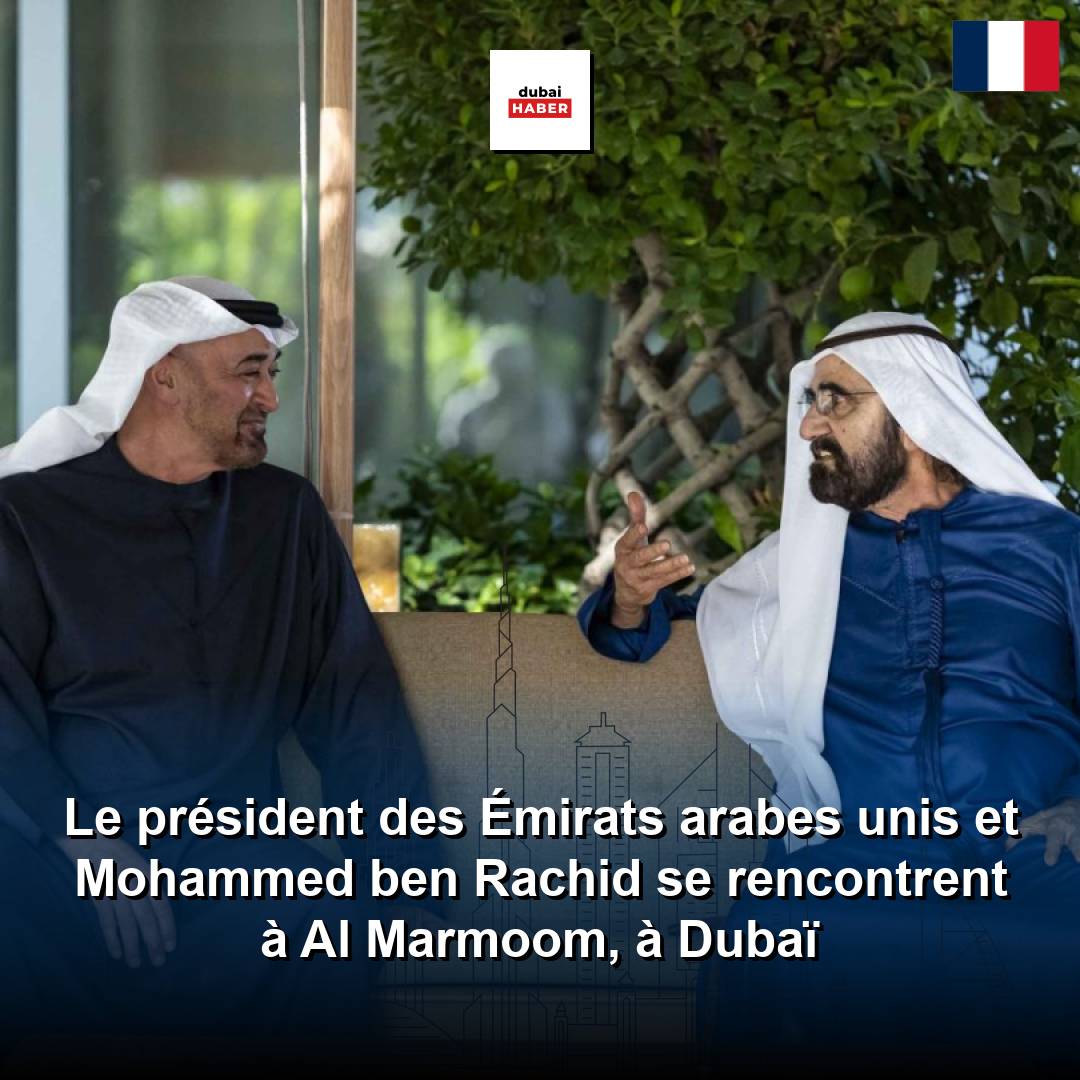 Le président des Émirats arabes unis et Mohammed ben Rachid se rencontrent à Al Marmoom, à Dubaï