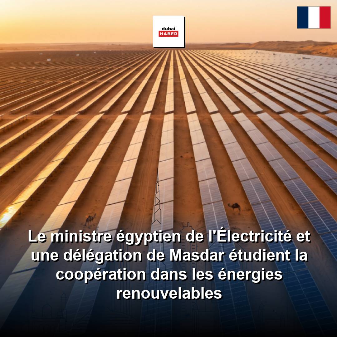 Le ministre égyptien de l'Électricité et une délégation de Masdar étudient la coopération dans les énergies renouvelables