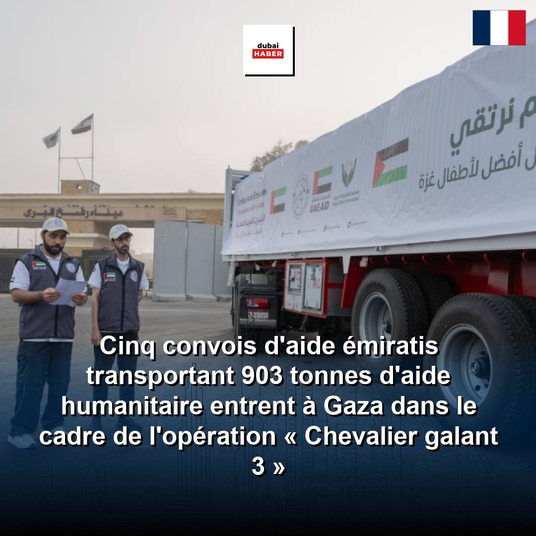 Cinq convois d'aide émiratis transportant 903 tonnes d'aide humanitaire entrent à Gaza dans le cadre de l'opération « Chevalier galant 3 »