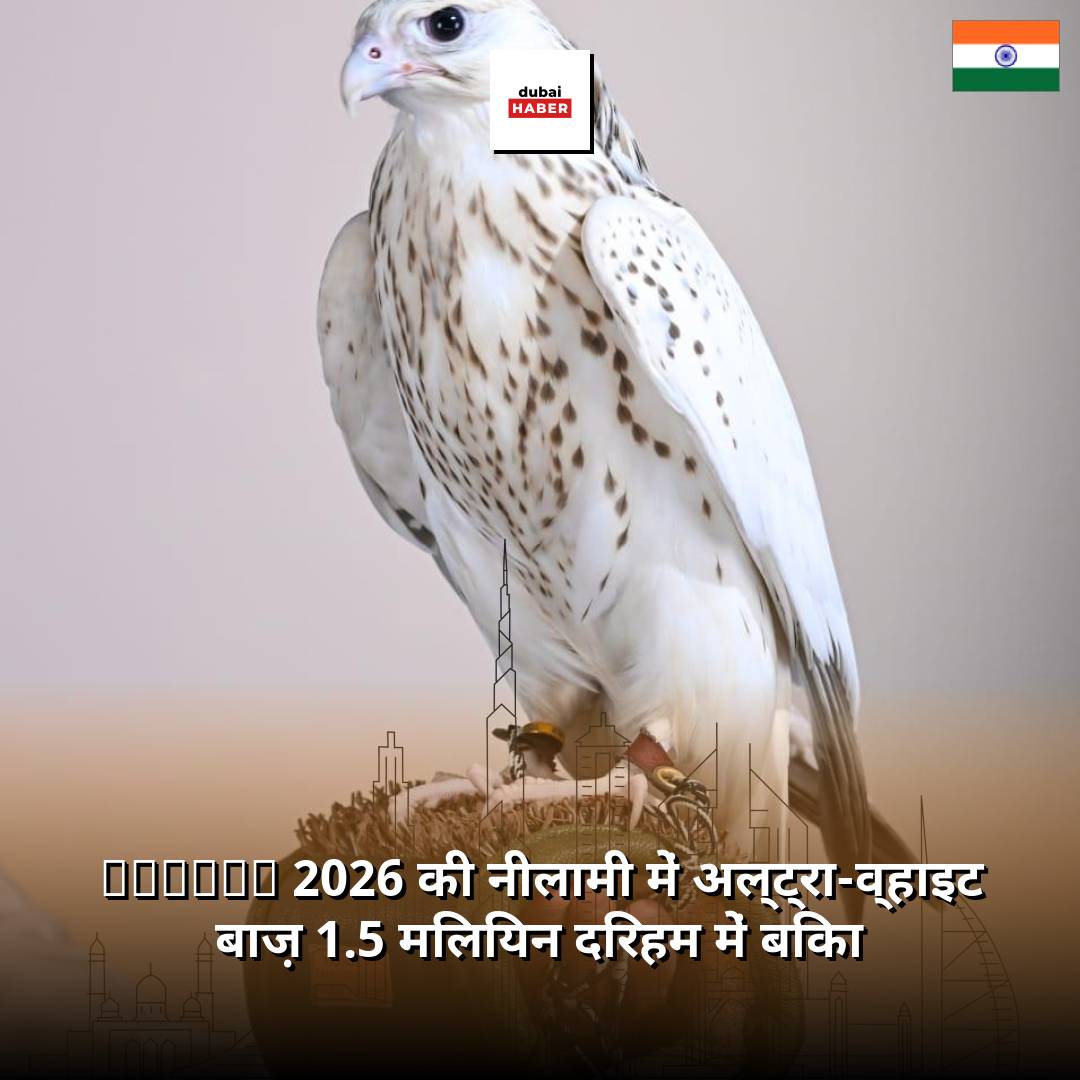 ADIHEX 2026 की नीलामी में अल्ट्रा-व्हाइट बाज़ 1.5 मिलियन दिरहम में बिका