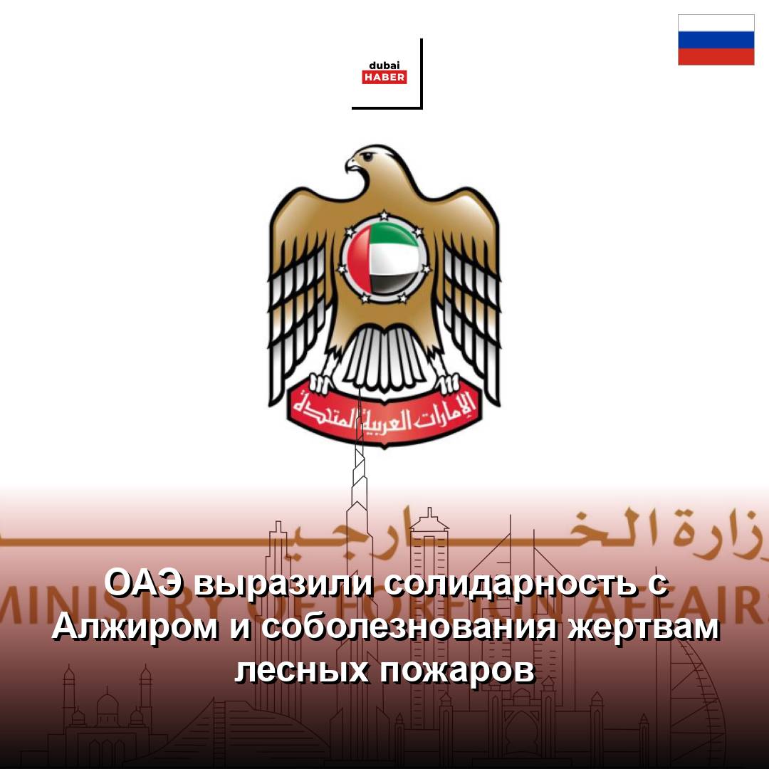 ОАЭ выразили солидарность с Алжиром и соболезнования жертвам лесных пожаров