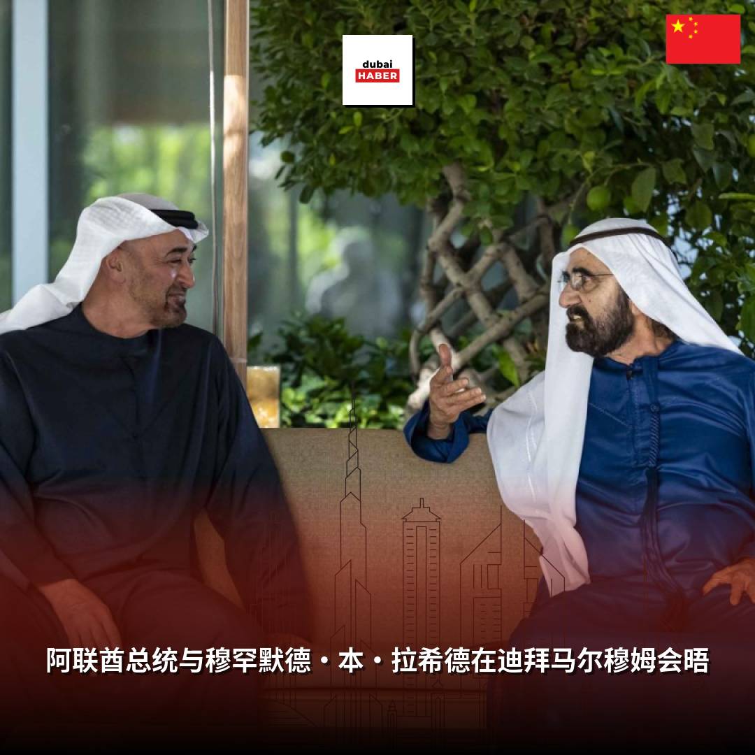 阿联酋总统与穆罕默德·本·拉希德在迪拜马尔穆姆会晤