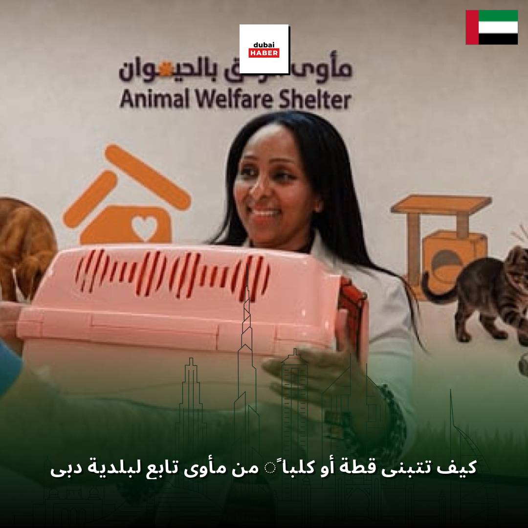 كيف تتبنى قطة أو كلباً من مأوى تابع لبلدية دبي
