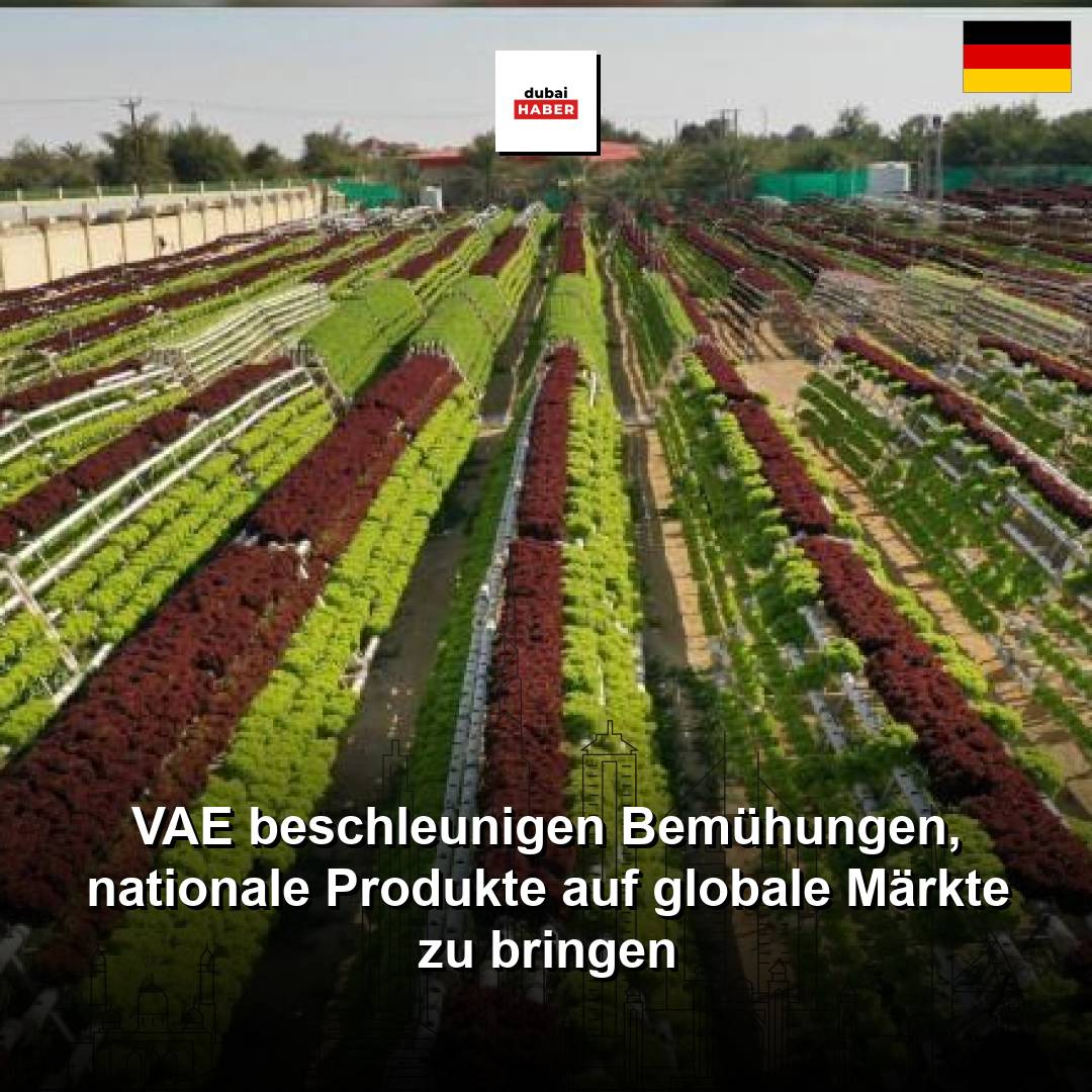 VAE beschleunigen Bemühungen, nationale Produkte auf globale Märkte zu bringen