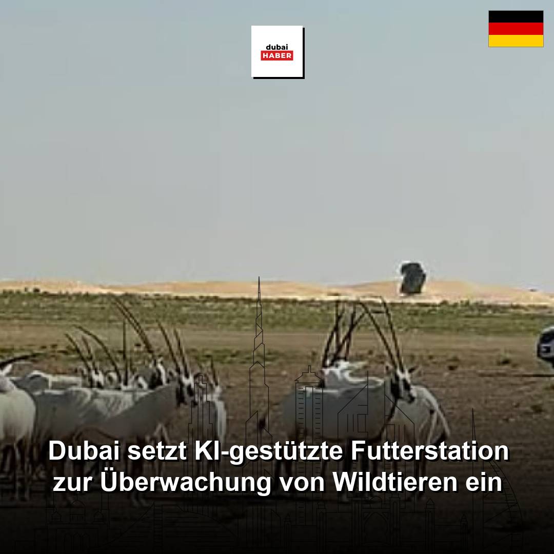 Dubai setzt KI-gestützte Futterstation zur Überwachung von Wildtieren ein