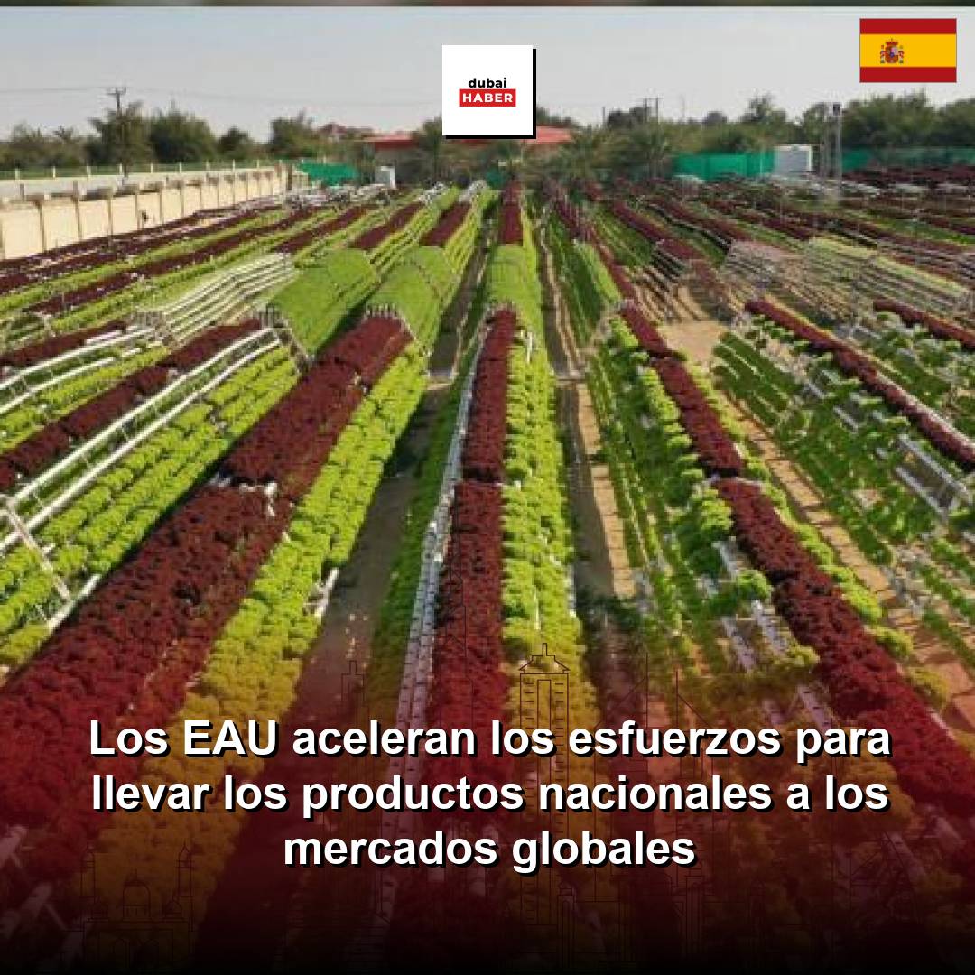 Los EAU aceleran los esfuerzos para llevar los productos nacionales a los mercados globales
