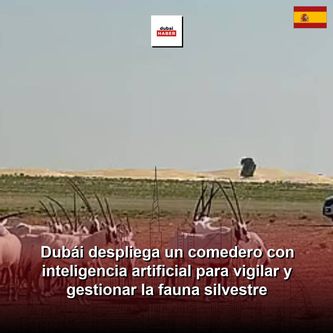 Dubái despliega un comedero con inteligencia artificial para vigilar y gestionar la fauna silvestre