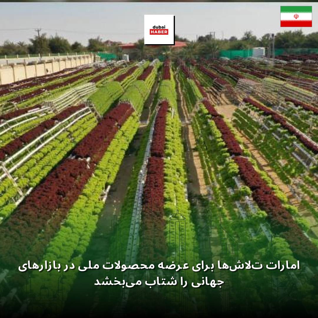 امارات تلاش‌ها برای عرضه محصولات ملی در بازارهای جهانی را شتاب می‌بخشد
