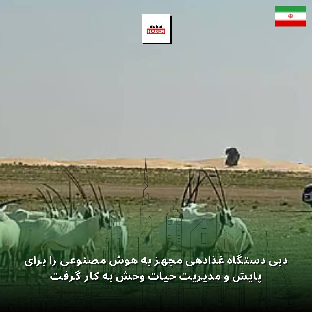 دبی دستگاه غذادهی مجهز به هوش مصنوعی را برای پایش و مدیریت حیات وحش به کار گرفت