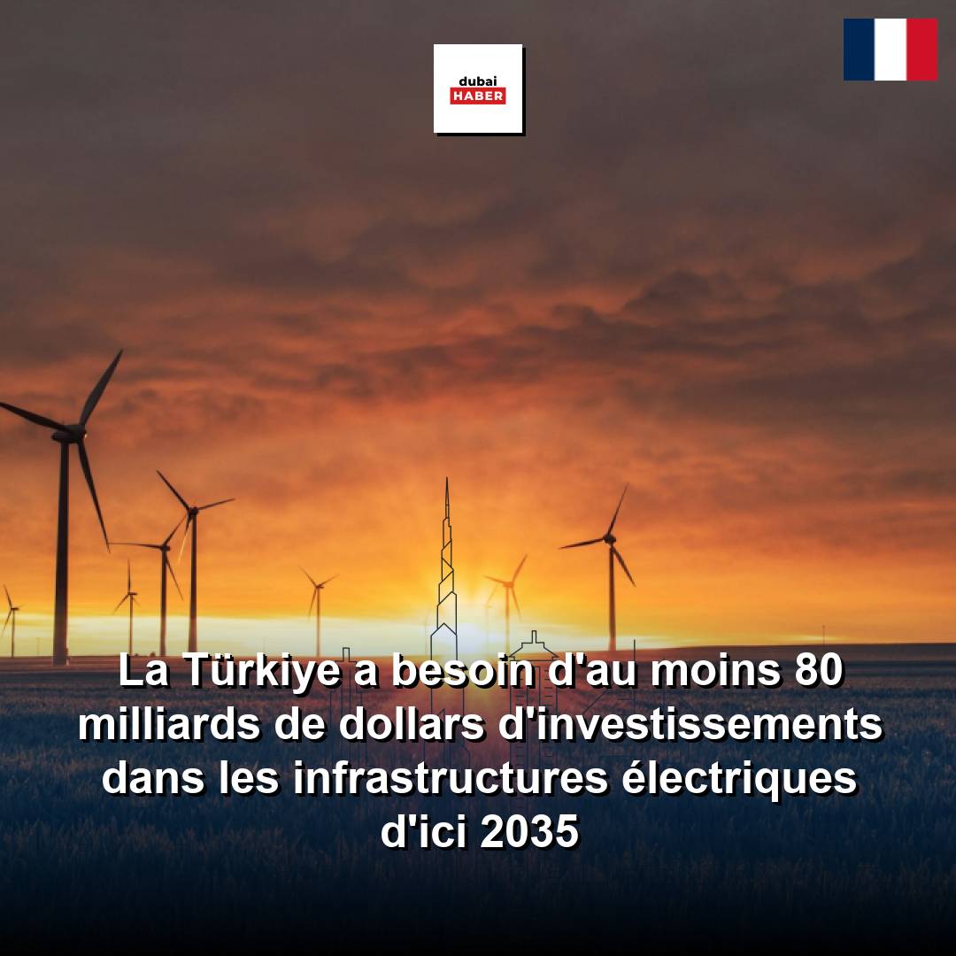 La Türkiye a besoin d'au moins 80 milliards de dollars d'investissements dans les infrastructures électriques d'ici 2035