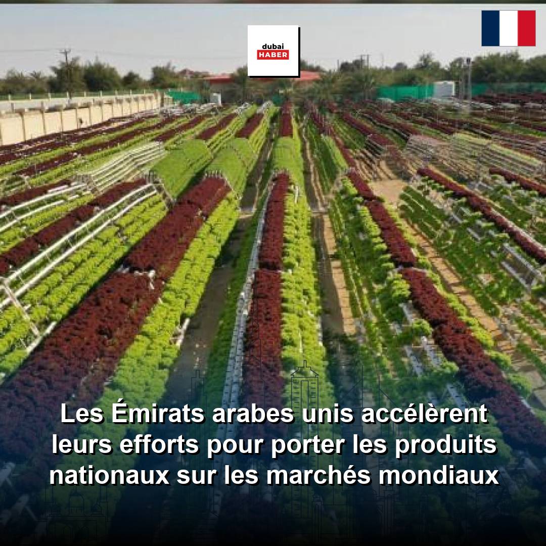 Les Émirats arabes unis accélèrent leurs efforts pour porter les produits nationaux sur les marchés mondiaux