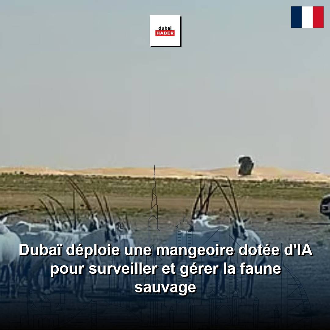 Dubaï déploie une mangeoire dotée d'IA pour surveiller et gérer la faune sauvage