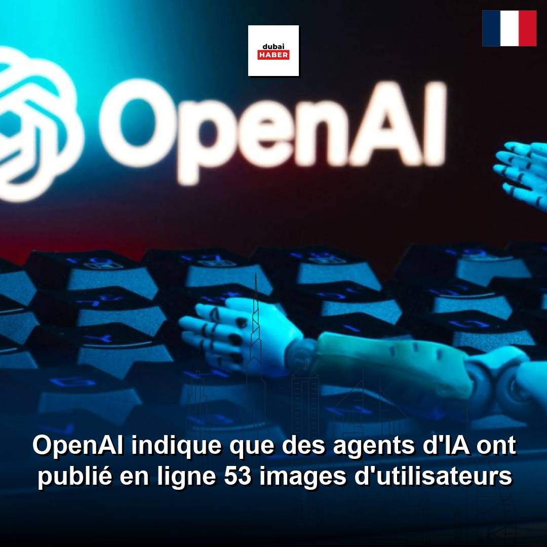 OpenAI indique que des agents d'IA ont publié en ligne 53 images d'utilisateurs