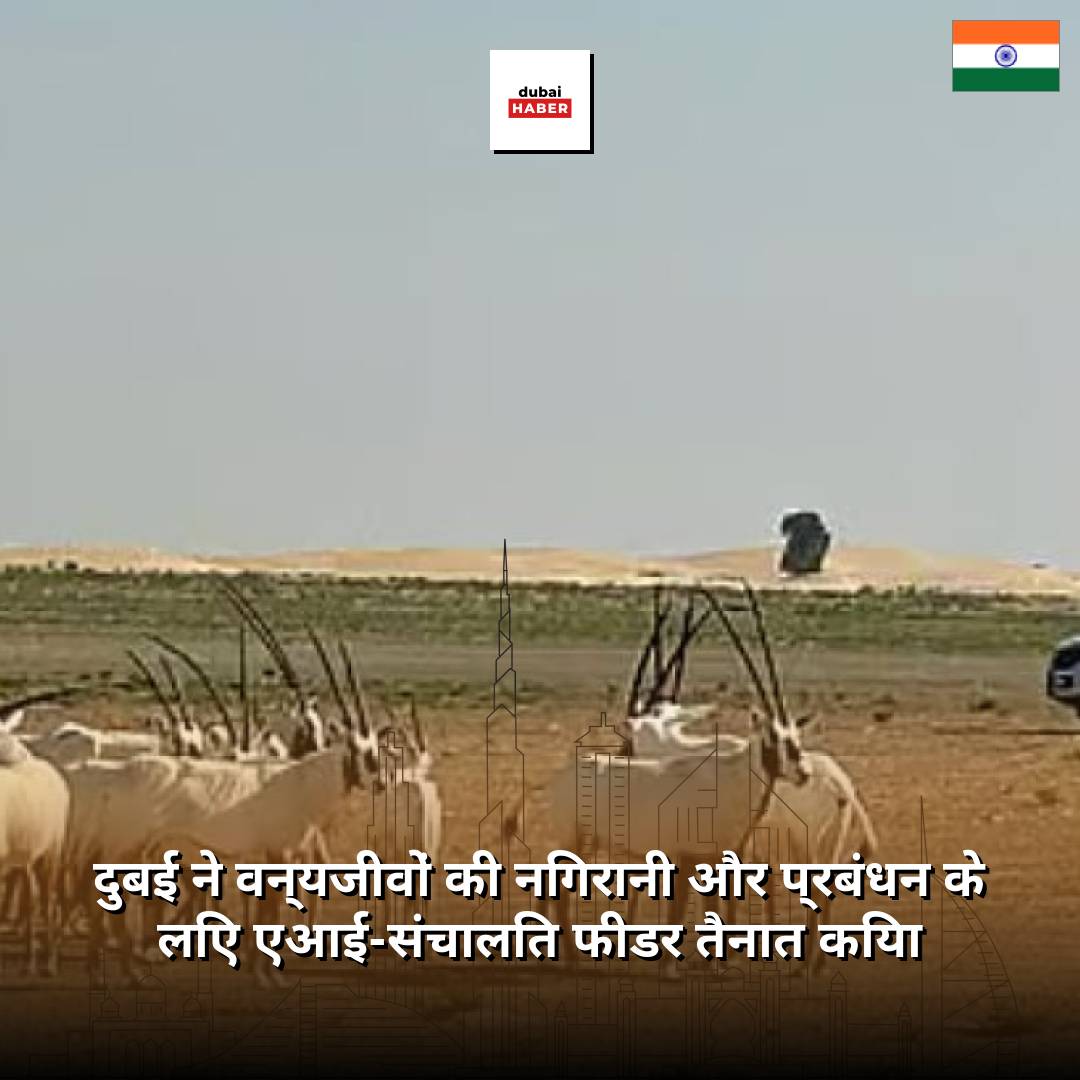 दुबई ने वन्यजीवों की निगरानी और प्रबंधन के लिए एआई-संचालित फीडर तैनात किया