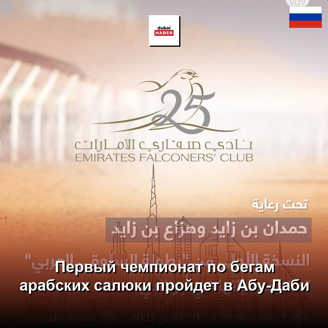 Первый чемпионат по бегам арабских салюки пройдет в Абу-Даби
