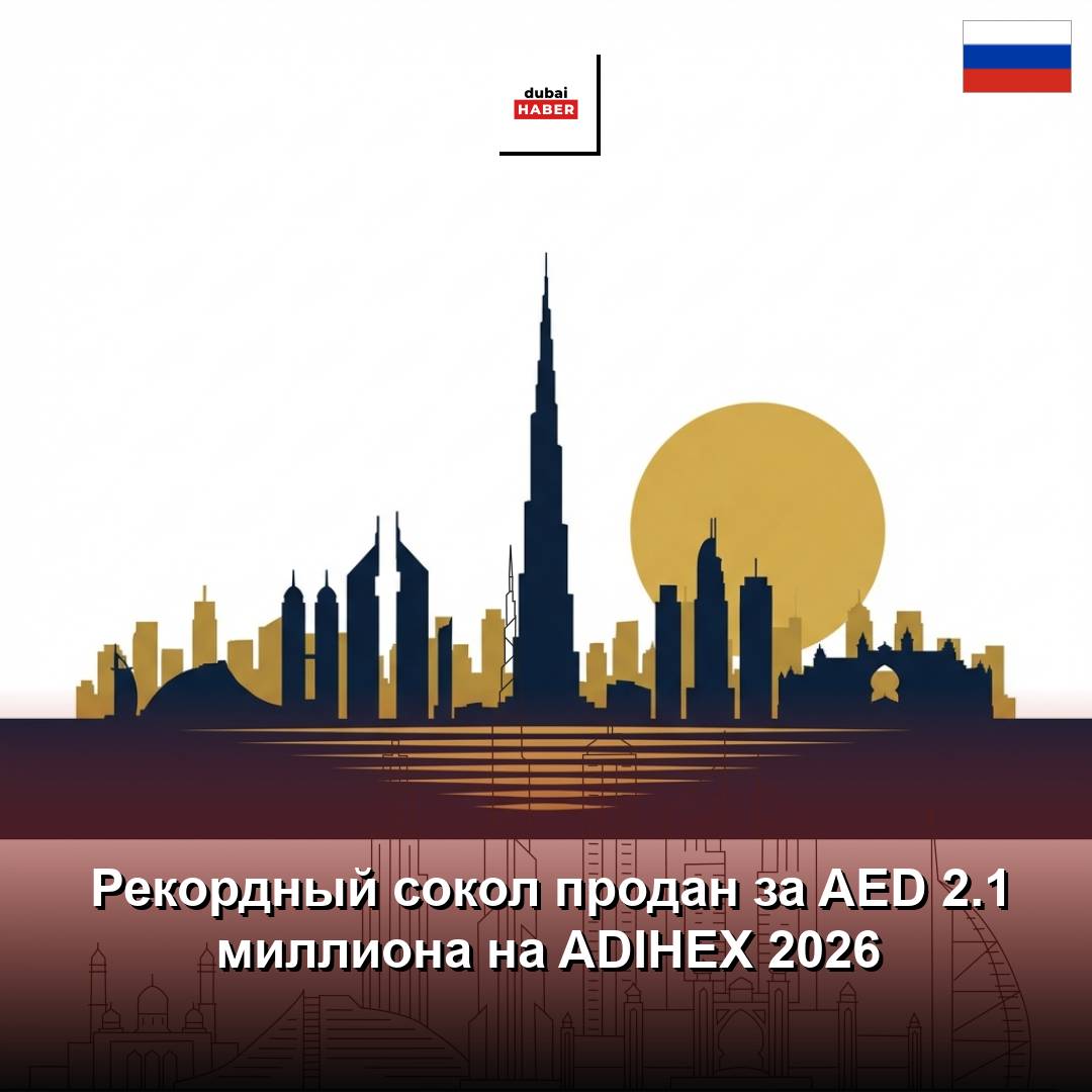 Рекордный сокол продан за AED 2.1 миллиона на ADIHEX 2026