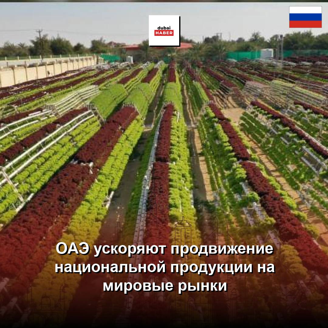 ОАЭ ускоряют продвижение национальной продукции на мировые рынки