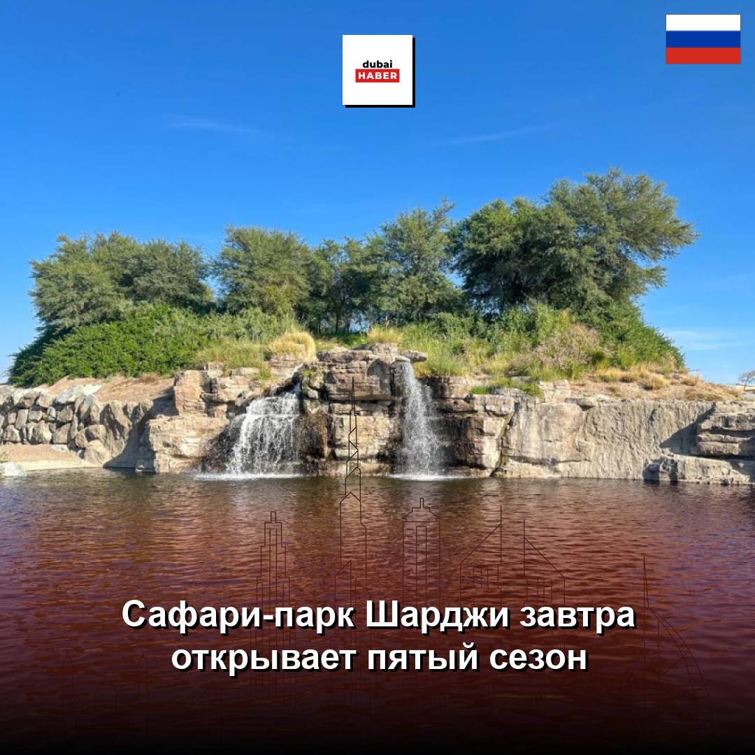 Сафари-парк Шарджи завтра открывает пятый сезон