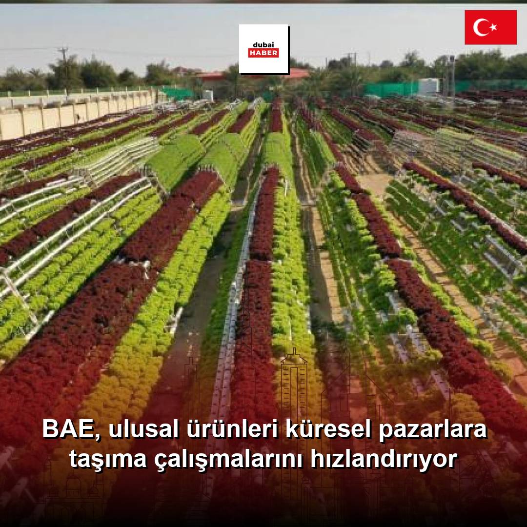 BAE, ulusal ürünleri küresel pazarlara taşıma çalışmalarını hızlandırıyor