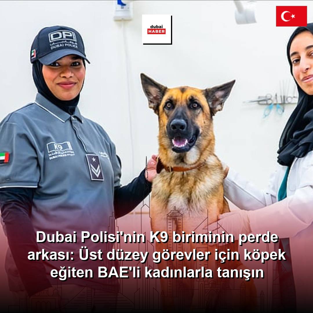 Dubai Polisi'nin K9 biriminin perde arkası: Üst düzey görevler için köpek eğiten BAE'li kadınlarla tanışın