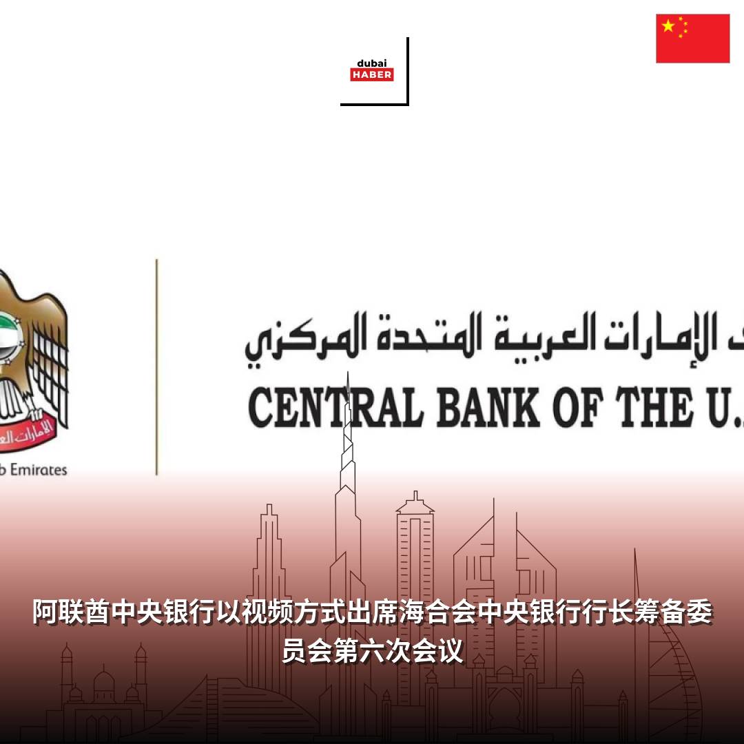 阿联酋中央银行以视频方式出席海合会中央银行行长筹备委员会第六次会议