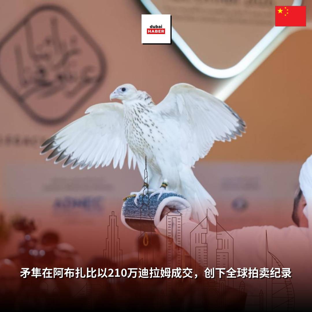 矛隼在阿布扎比以210万迪拉姆成交，创下全球拍卖纪录