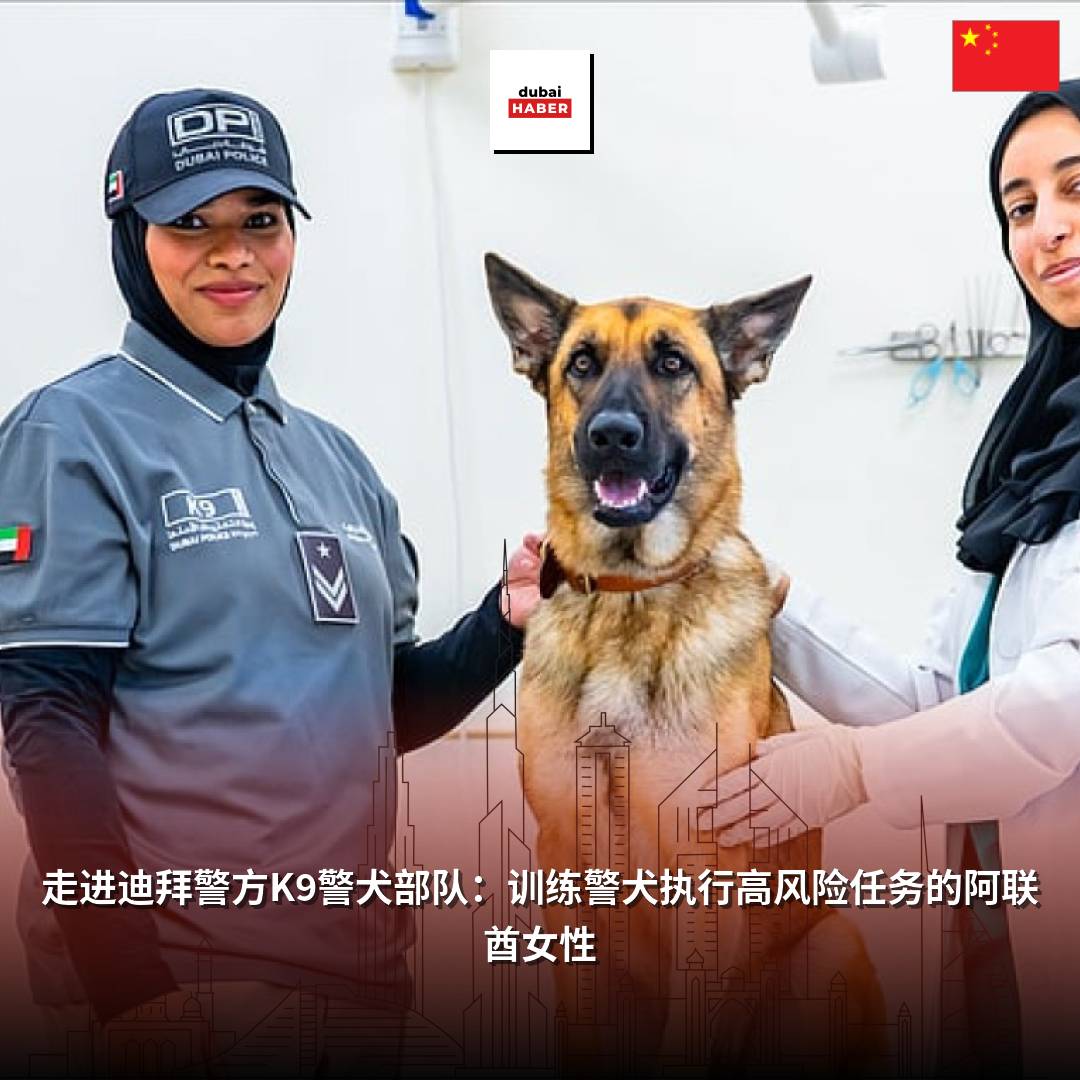 走进迪拜警方K9警犬部队：训练警犬执行高风险任务的阿联酋女性