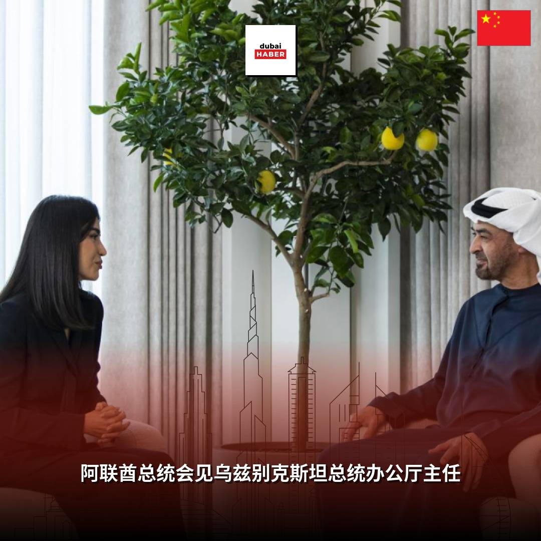 阿联酋总统会见乌兹别克斯坦总统办公厅主任
