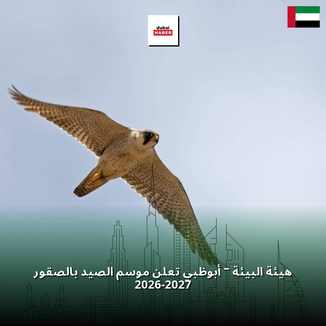 هيئة البيئة – أبوظبي تعلن موسم الصيد بالصقور 2026-2027
