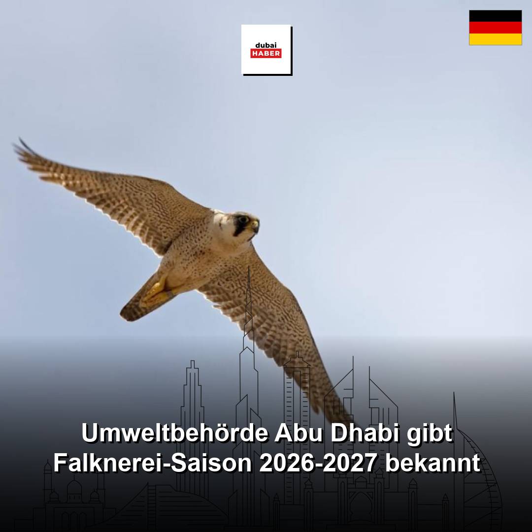 Umweltbehörde Abu Dhabi gibt Falknerei-Saison 2026-2027 bekannt