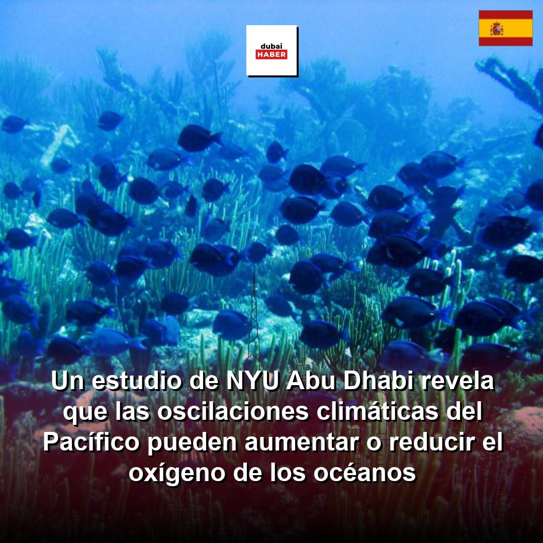 Un estudio de NYU Abu Dhabi revela que las oscilaciones climáticas del Pacífico pueden aumentar o reducir el oxígeno de los océanos