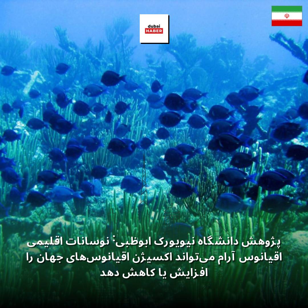 پژوهش دانشگاه نیویورک ابوظبی: نوسانات اقلیمی اقیانوس آرام می‌تواند اکسیژن اقیانوس‌های جهان را افزایش یا کاهش دهد