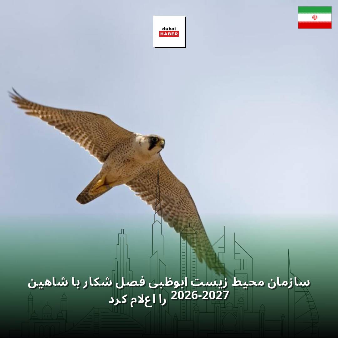 سازمان محیط زیست ابوظبی فصل شکار با شاهین 2026-2027 را اعلام کرد