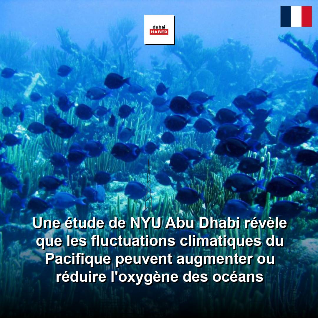 Une étude de NYU Abu Dhabi révèle que les fluctuations climatiques du Pacifique peuvent augmenter ou réduire l'oxygène des océans