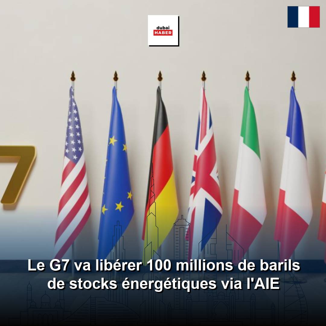 Le G7 va libérer 100 millions de barils de stocks énergétiques via l'AIE