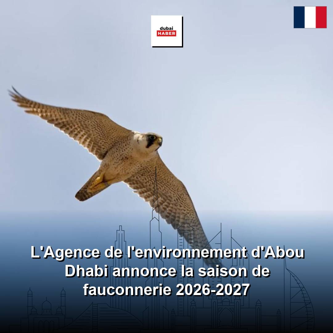L'Agence de l'environnement d'Abou Dhabi annonce la saison de fauconnerie 2026-2027