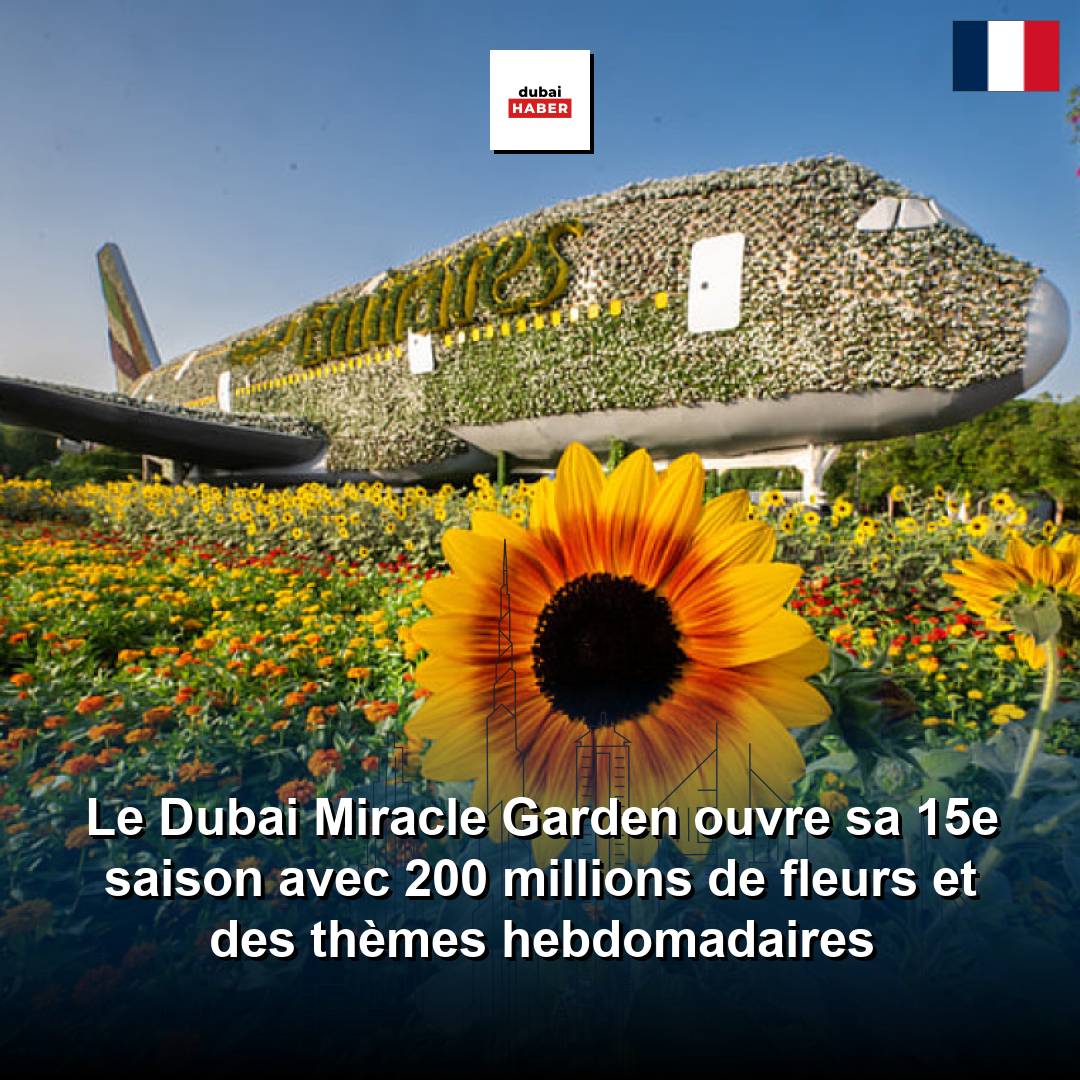 Le Dubai Miracle Garden ouvre sa 15e saison avec 200 millions de fleurs et des thèmes hebdomadaires