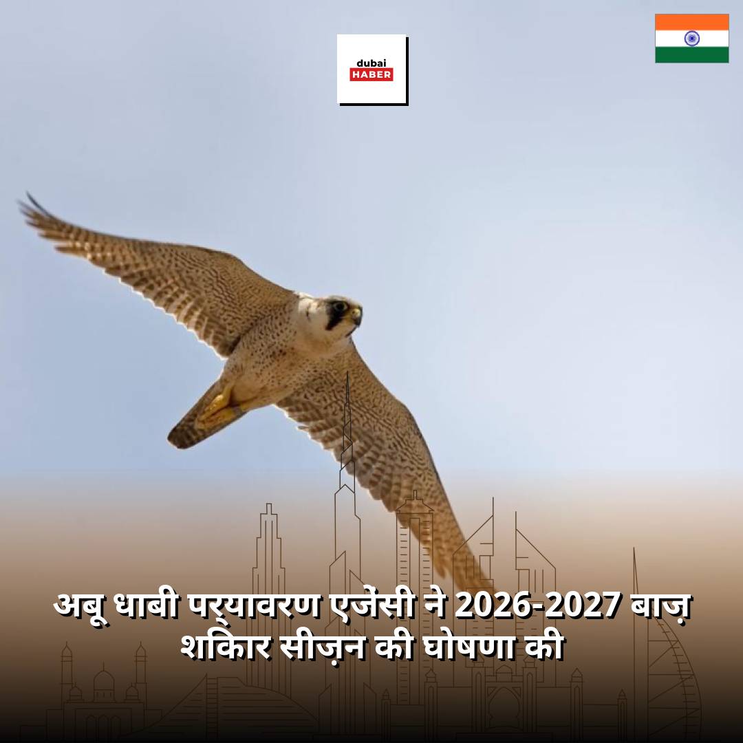 अबू धाबी पर्यावरण एजेंसी ने 2026-2027 बाज़ शिकार सीज़न की घोषणा की