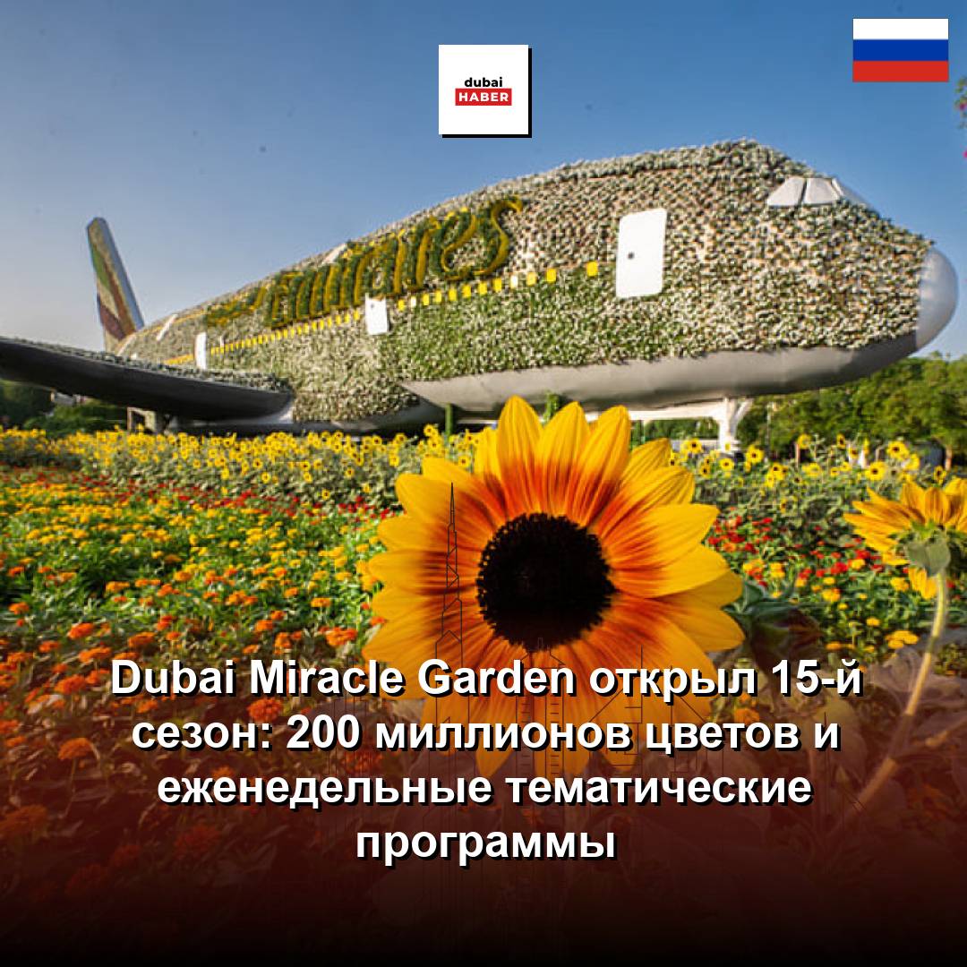 Dubai Miracle Garden открыл 15-й сезон: 200 миллионов цветов и еженедельные тематические программы