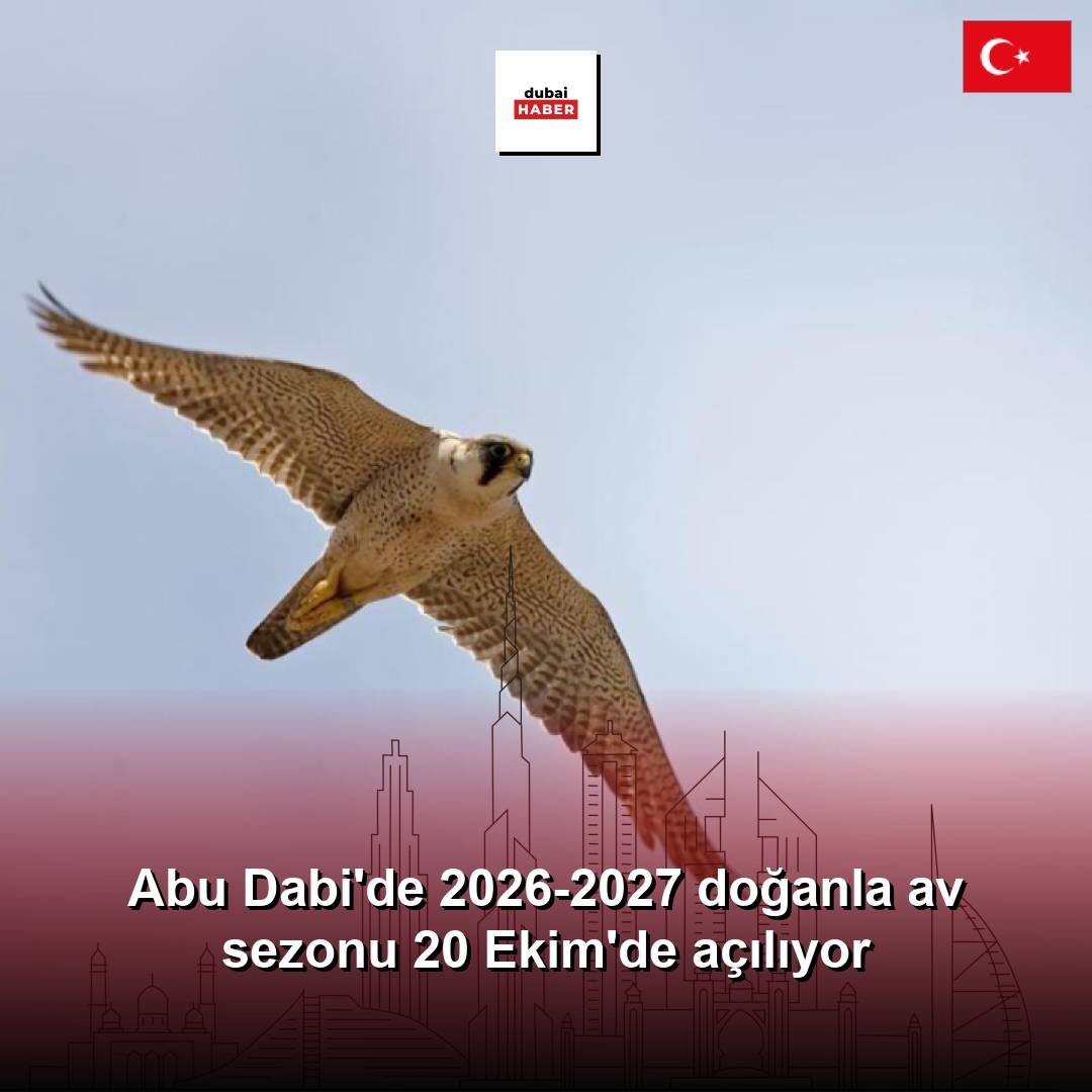 Abu Dabi'de 2026-2027 doğanla av sezonu 20 Ekim'de açılıyor