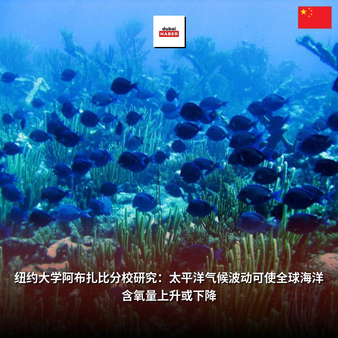 纽约大学阿布扎比分校研究：太平洋气候波动可使全球海洋含氧量上升或下降