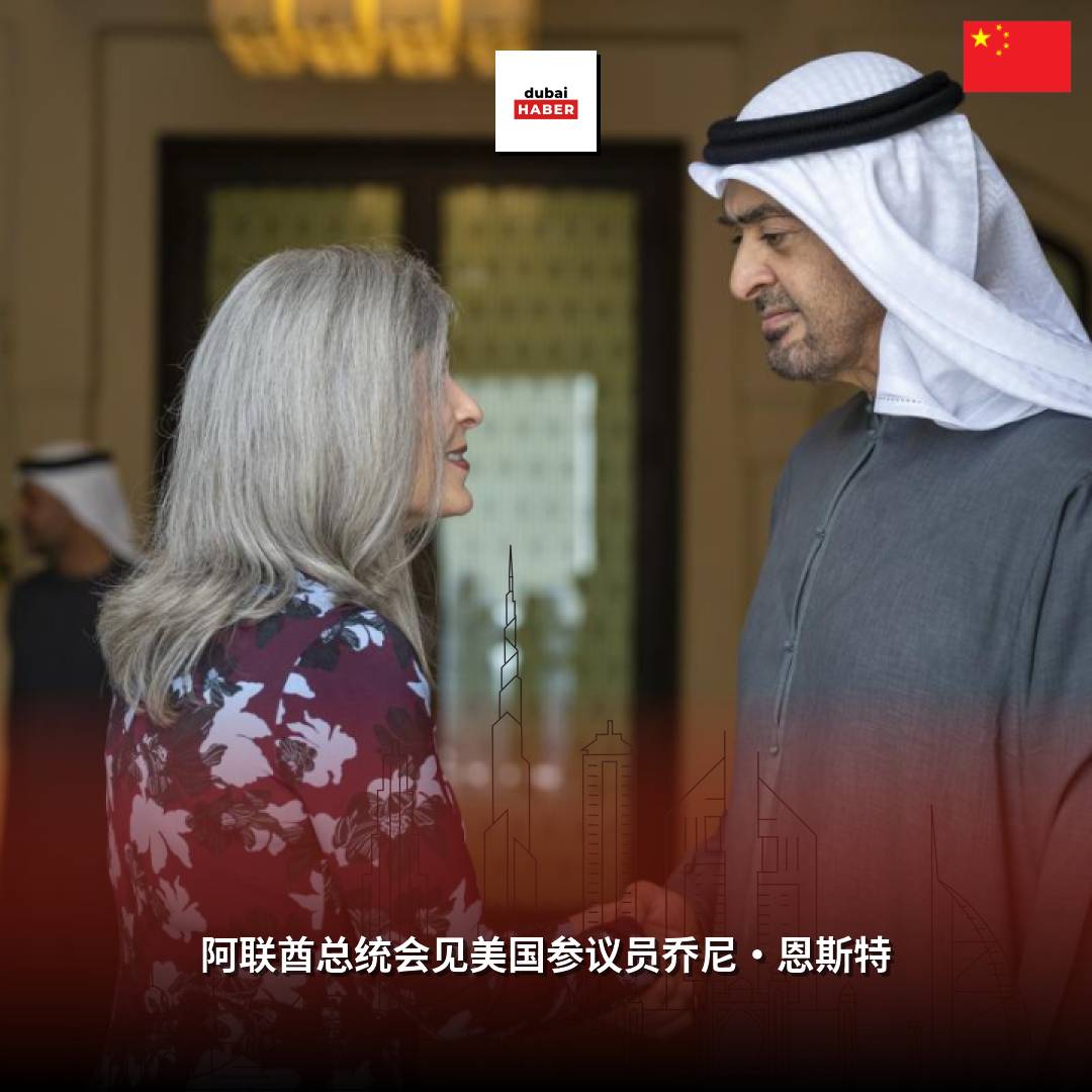 阿联酋总统会见美国参议员乔尼·恩斯特