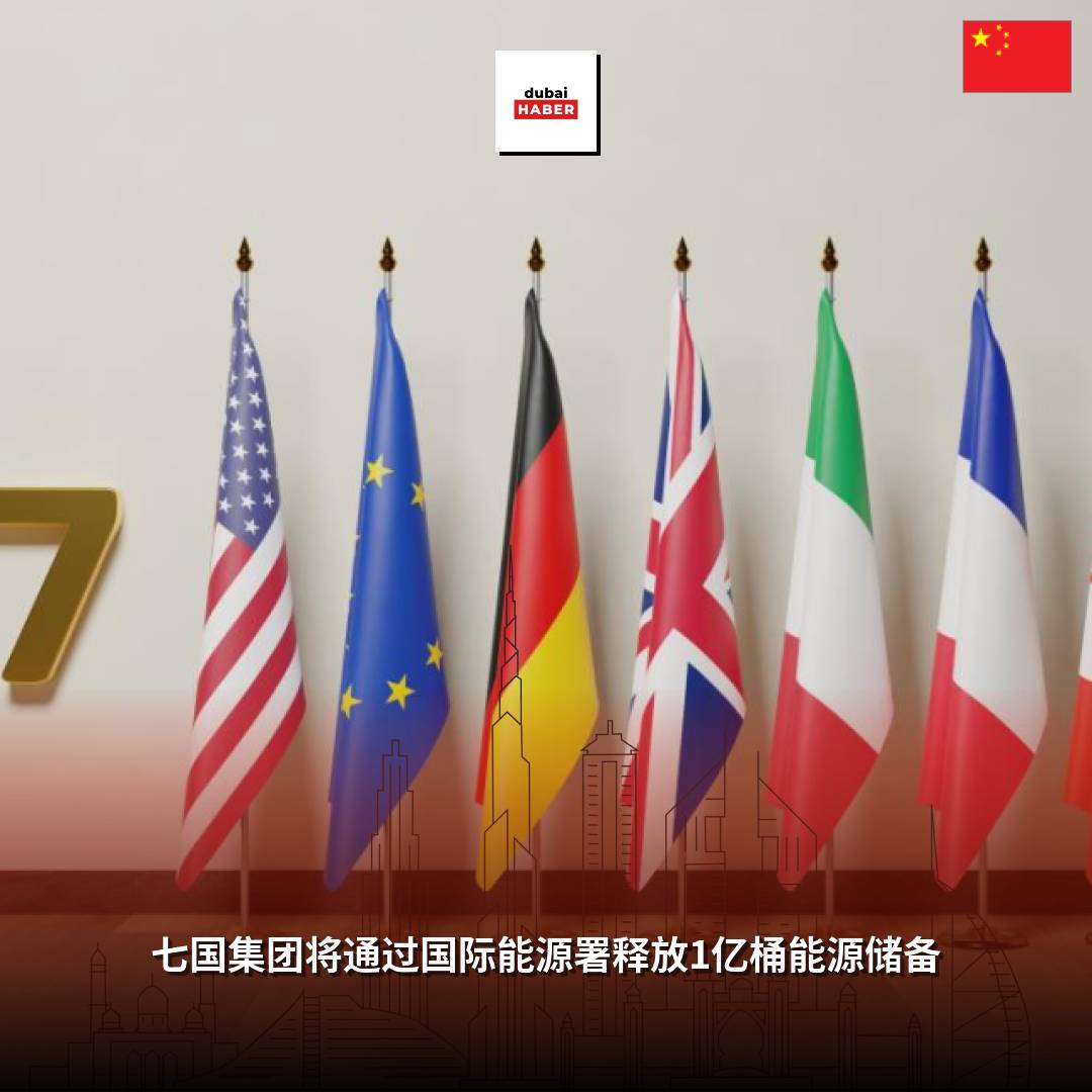七国集团将通过国际能源署释放1亿桶能源储备