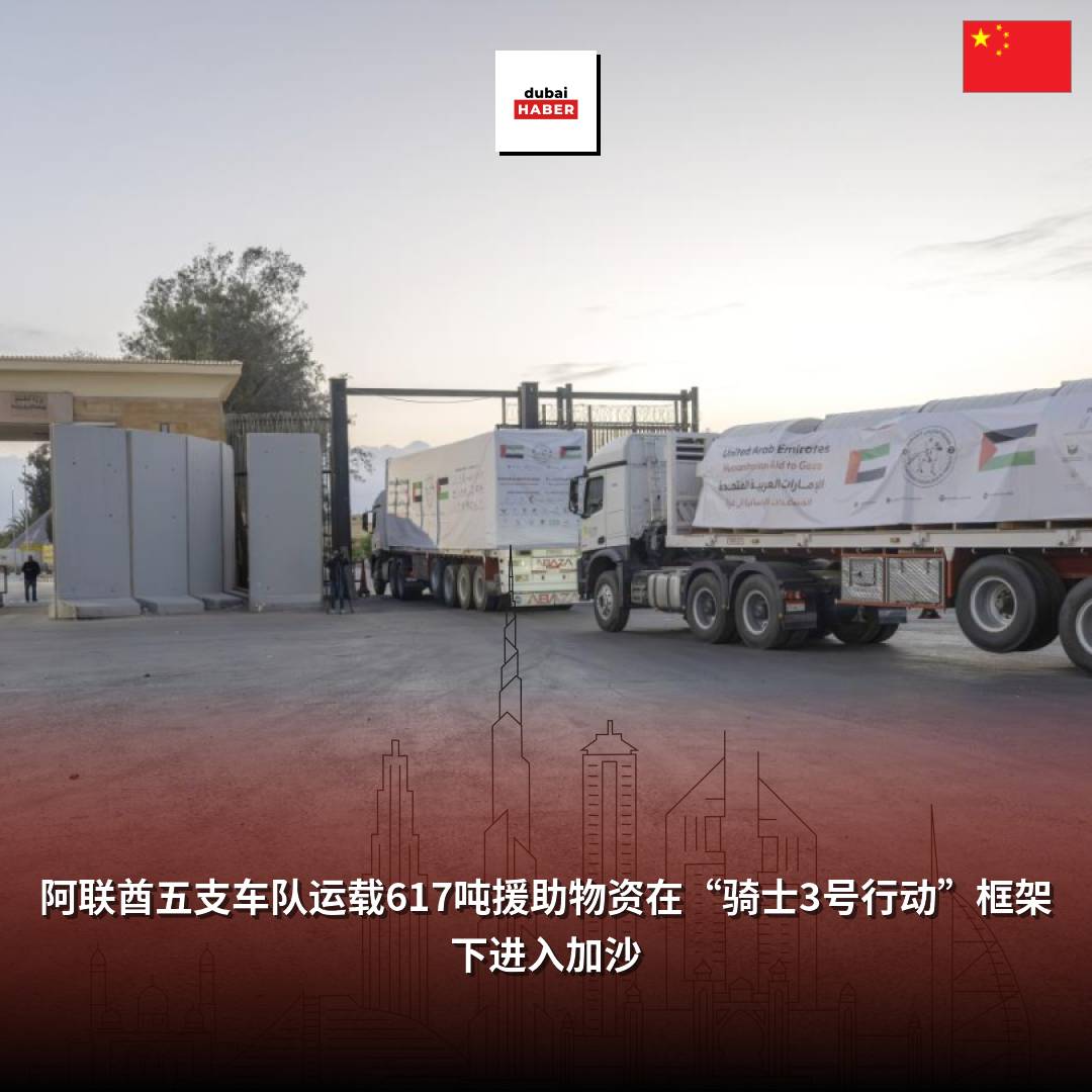 阿联酋五支车队运载617吨援助物资在“骑士3号行动”框架下进入加沙