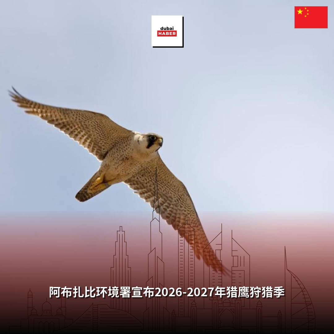 阿布扎比环境署宣布2026-2027年猎鹰狩猎季
