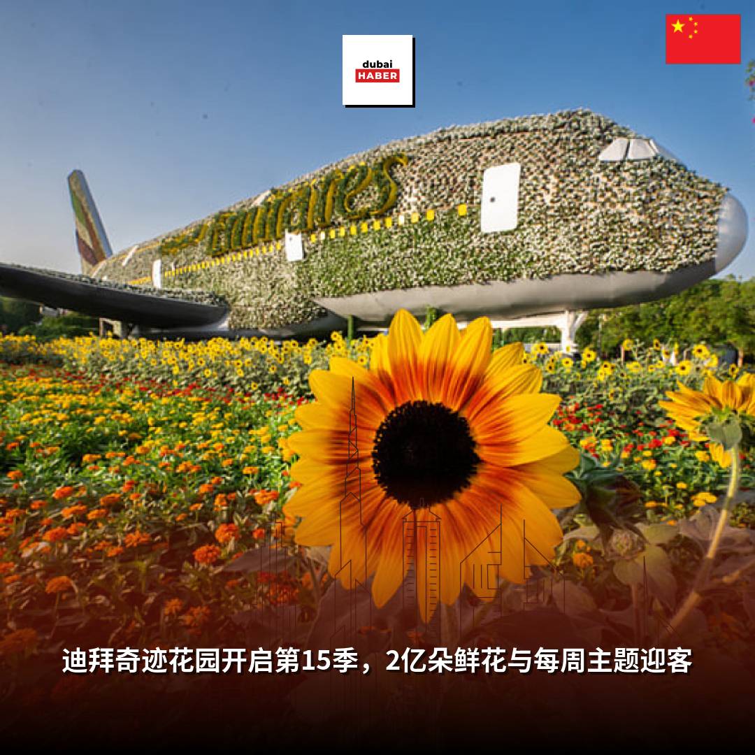 迪拜奇迹花园开启第15季，2亿朵鲜花与每周主题迎客