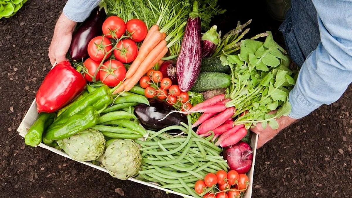 BAE, Agritech İnovasyonunu ve Gıda Güvenliğini Artırmak için Bilgi Merkezini Başlattı