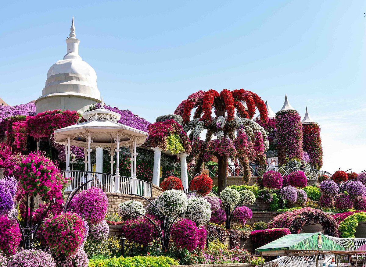 Dubai Miracle Garden Bilet Fiyatları 2025'te Yaşayanlar için Neredeyse İki Katına Çıktı