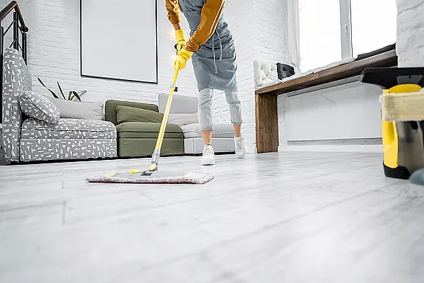 BAE Sakinleri Artık Platform Aracılığıyla Ev işçilerinin Vizesini Verebilir, Yenileyebilir, iptal Edebilir